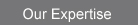 Our Expertise