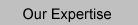 Our Expertise